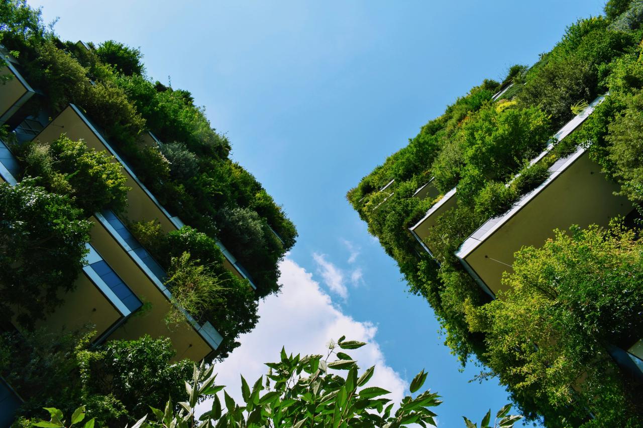 low-angle photography of buildings with plants on it