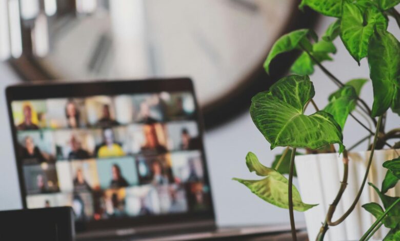 black flat screen tv turned on near green plant